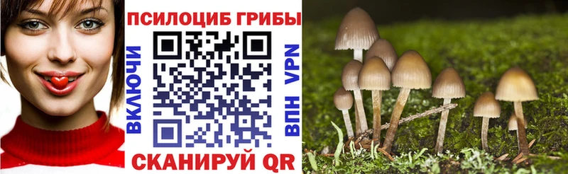 Псилоцибиновые грибы мицелий  Купить где  Черноголовка 